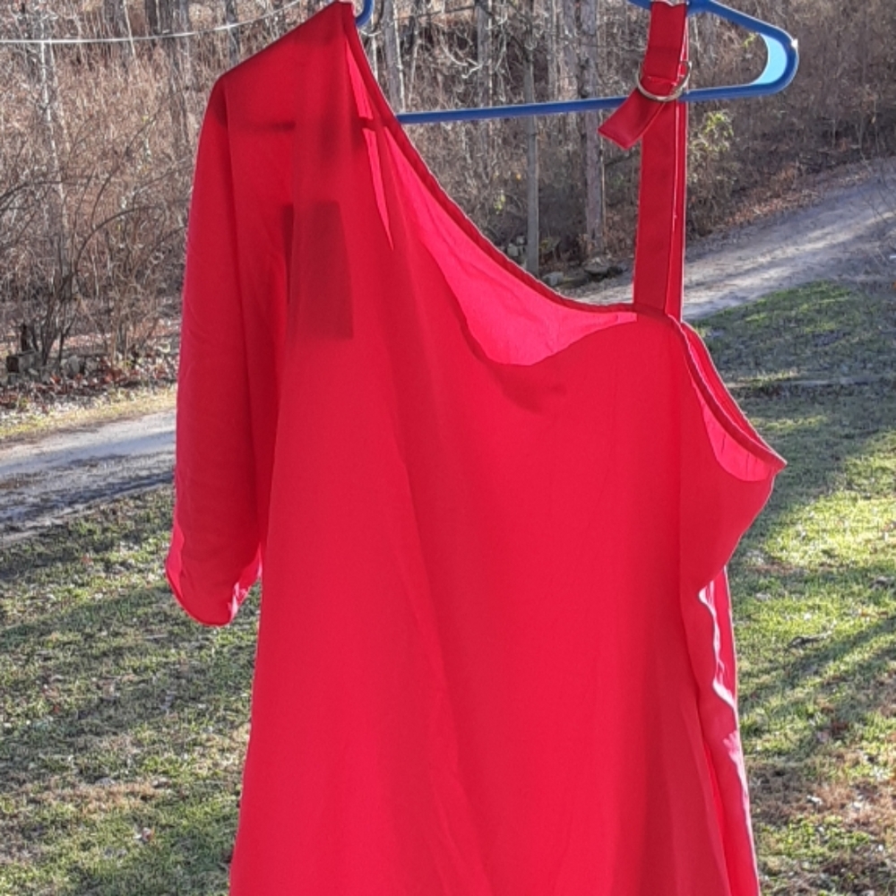 Red Sheath Top